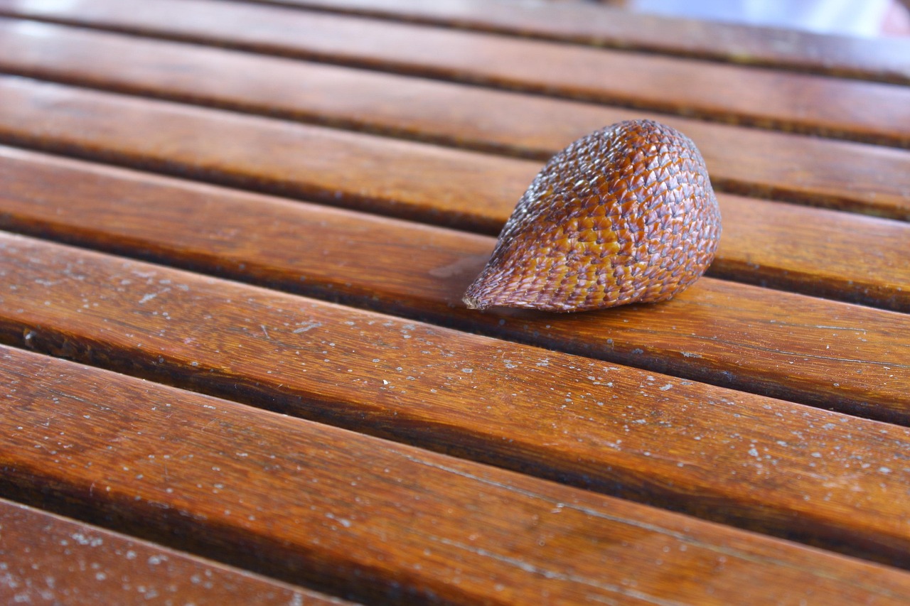 cms en 2025 : comment choisir la meilleure solution pour votre site web ?